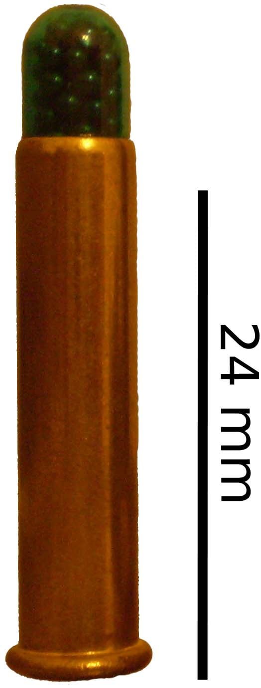 .22 WMR snake shot
