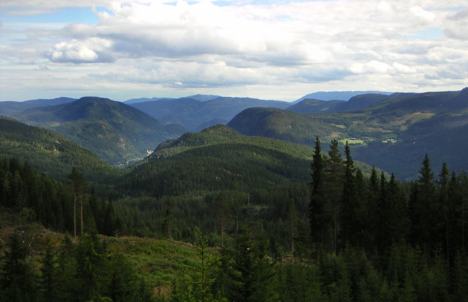 Åbjør