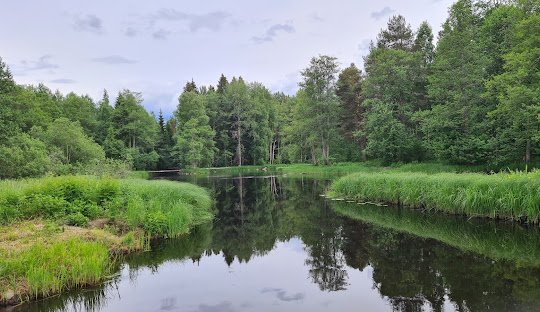 Åbyggeby