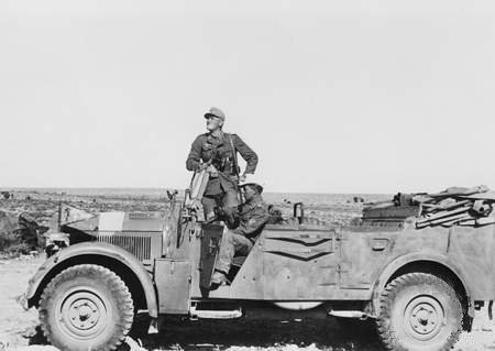 Typical transport used by the Division in north Africa