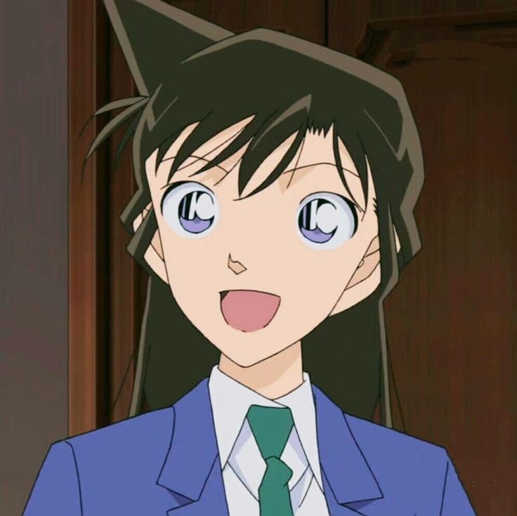 Mamoru Aikawa (Anime)