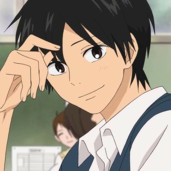 Mamoru Aikawa (Anime)