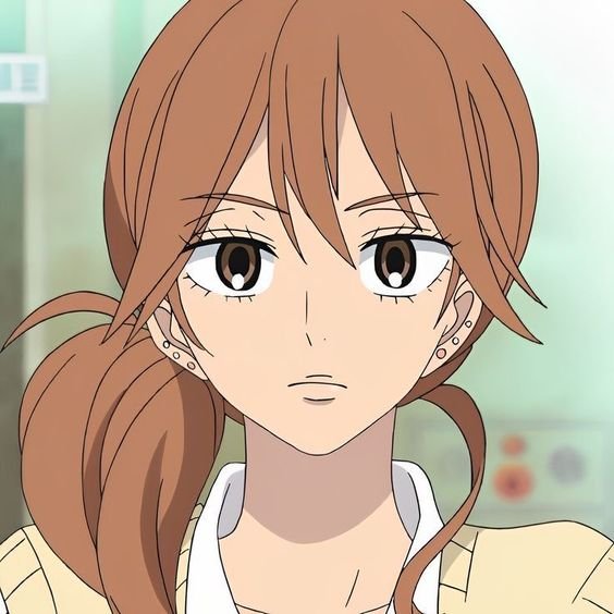 Mamoru Aikawa (Anime)