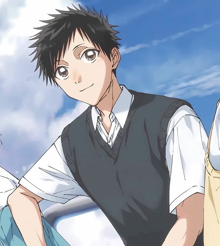 Mamoru Aikawa (Anime)
