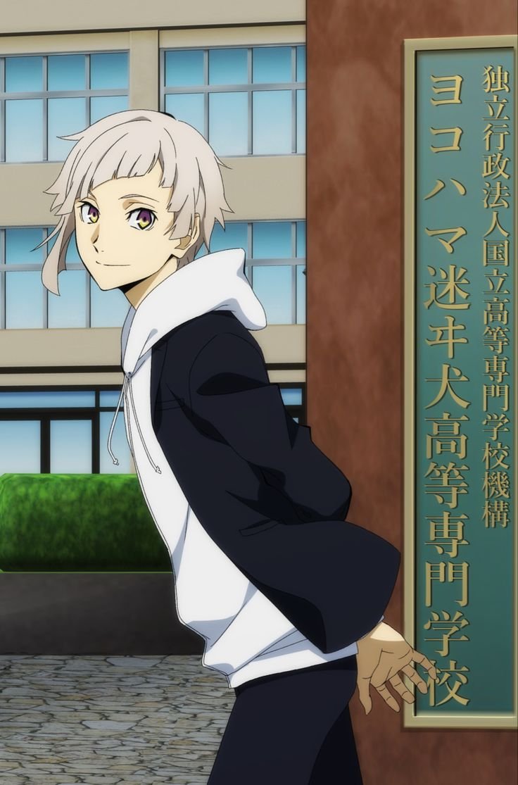 Mamoru Aikawa (Anime)