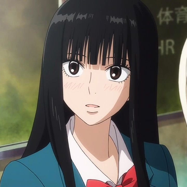 Mamoru Aikawa (Anime)