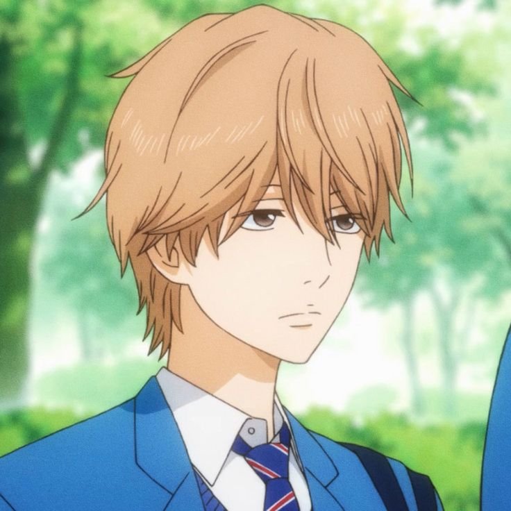 Mamoru Aikawa (Anime)