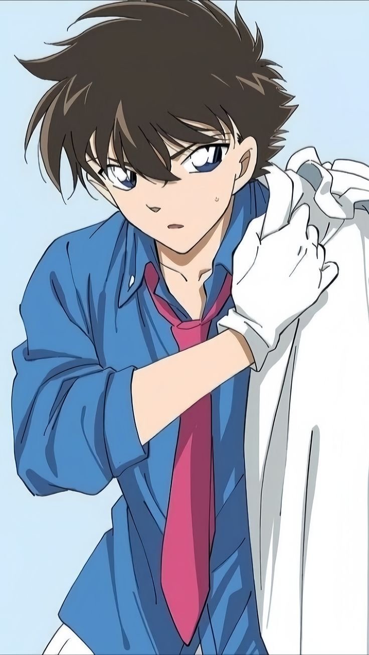 Mamoru Aikawa (Anime)